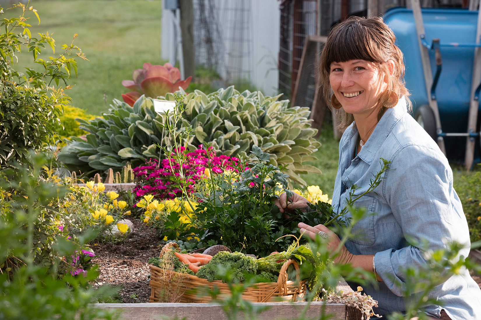 WholeKids RawWeb FNL