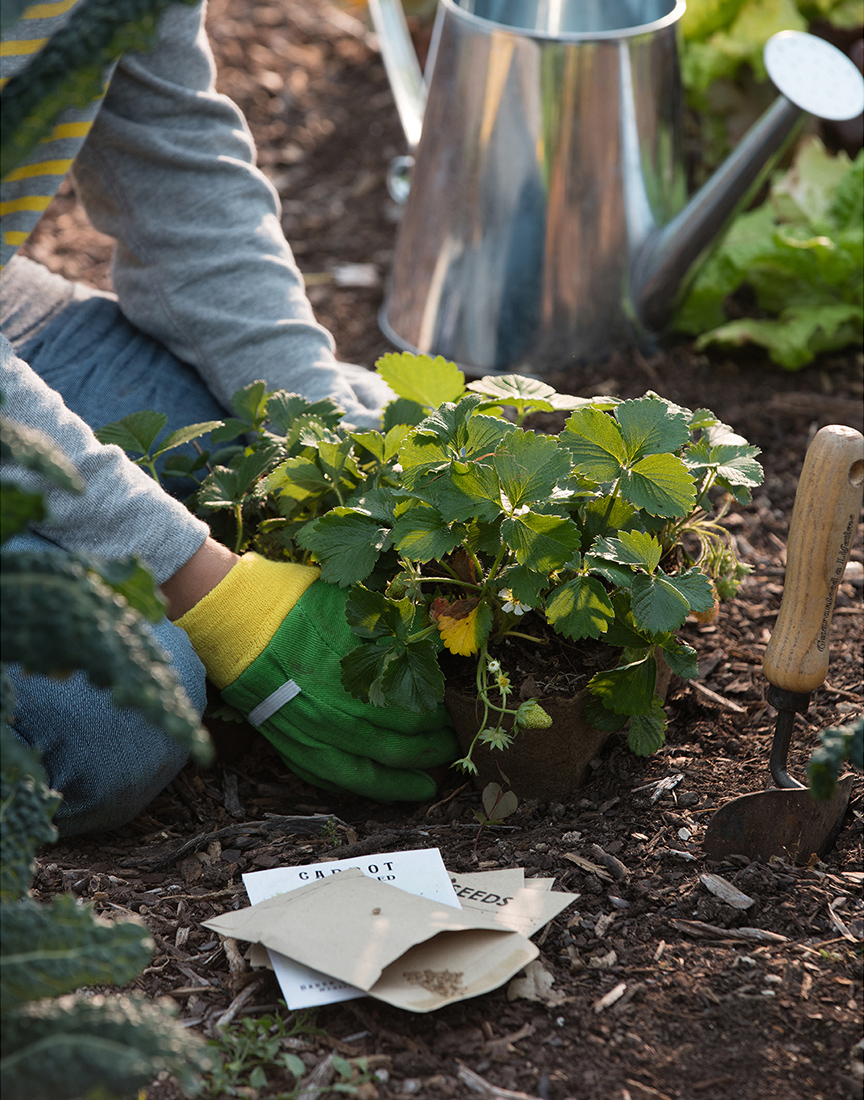 WholeKidsPosters Gardening RawWeb FNL